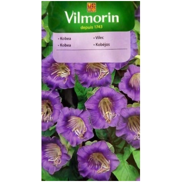Kobejas violetas 0.5 g Vilmorin A.P