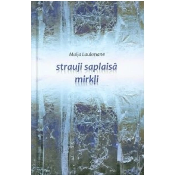 Lietots - Strauji saplaisā mirkļi - Maija Laukmane