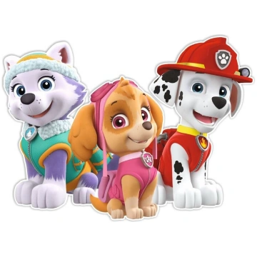 Divslāņu sienu apdare Paw Patrol - Everest, Skye, 