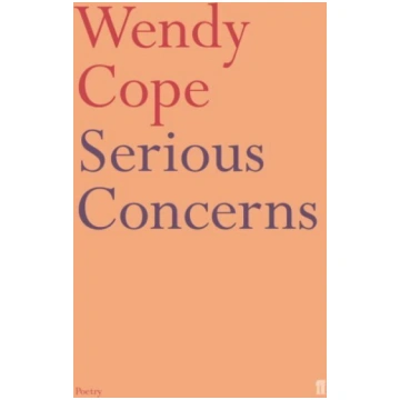 Serious Concerns Main