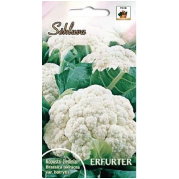 Kāposti ziedu Erfurter 1.5g