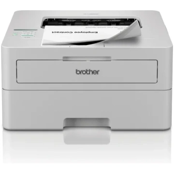 Brother HL-L2865DW Printer Laser B/W A4 34 ppm USB