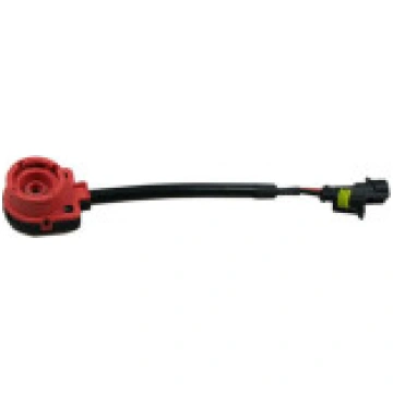 D2S vads HID blokam hid-d2s-wire
