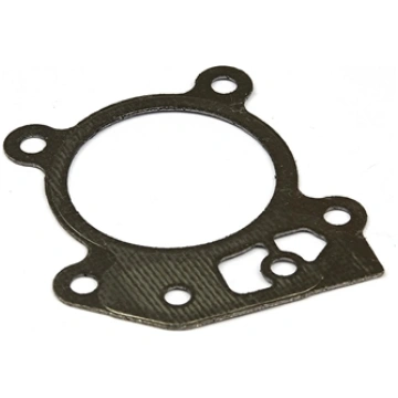 Cilindra galvas blīve Briggs&Stratton 799586; 1 ga