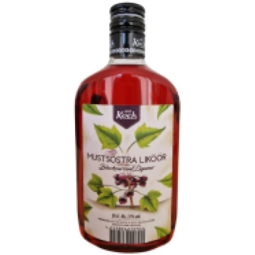 KOCH Blackcurrant Liqueur upeņu liķieris 21% pet I