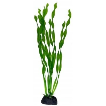 Aqua Natura, Ro�Virve, Dekorēšanai Akvārijs, Zaļš,