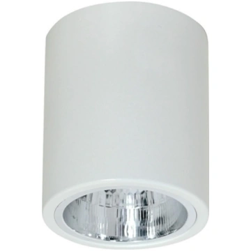 Lampa sufitowa Luminex Plafon natynkowy Downlight 