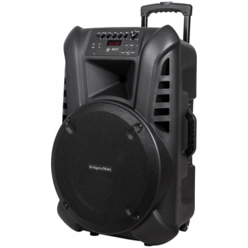 Active Speaker Cabinet (with 2 wireless microphone