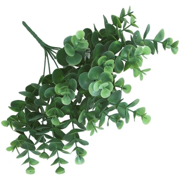 Eikalipta pušķis H36cm