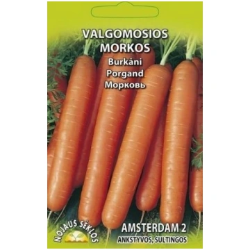 Burkāni Amsterdam 2