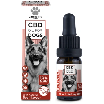 CBD eļļa lieliem suņiem 10%, 10ml ar bekona garšu,