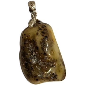 Sudraba un dzintara kulons "Dabas Asara" (30x20 mm