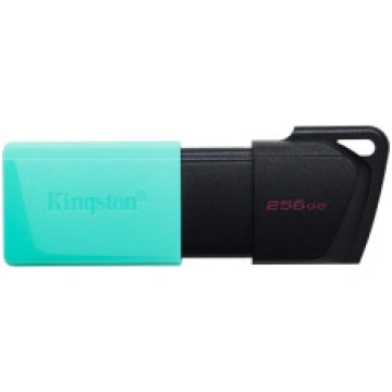 MEMORY DRIVE FLASH USB3.2/256GB DTXM/256GB KINGSTO