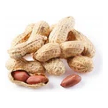 Zemesrieksti čaumalā grauzdēti 300 gr (mērvienība: