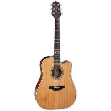 Takamine GD20CE-NS