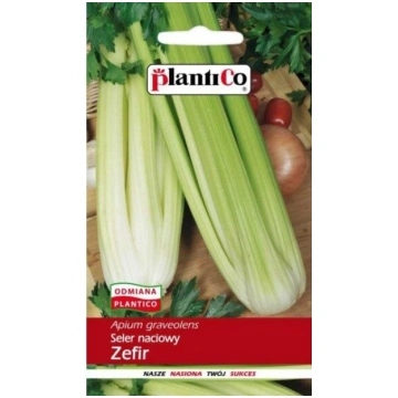 Selerijas kātu Zefir 1g. Kātu selerijas sēklas