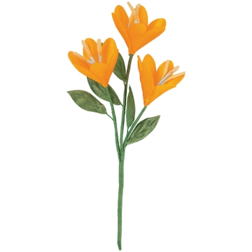 Pick 3 ocher lilies Casolaro Hotellerie