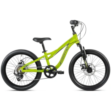 Bērnu velosipēds ROMET Rambler FIT 20, zaļi-zili-p