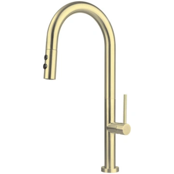 Virtuves jaucējkrāns Deante Olfato, Brushed gold, 