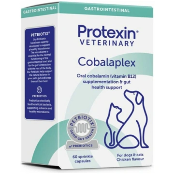 Protexin Cobalaplex papildbarība suņiem un kaķiem 