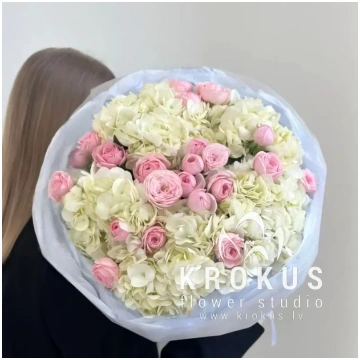 Balts zīds un roze Krūmrozes