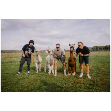 Pastaiga ar alpakām Alpakafarm OÜ