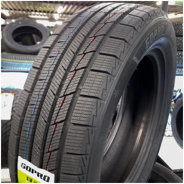 255/45R20 Gopro EV-ice 105H XL