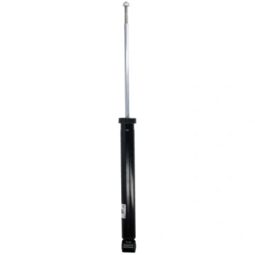 Amortizators MAGNUM TECHNOLOGY AGB041MT