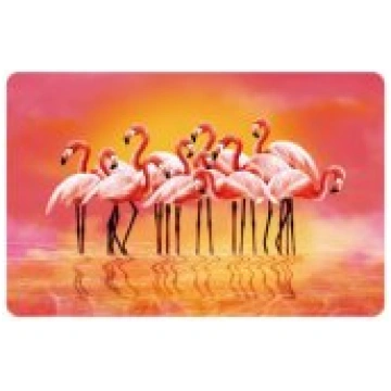 Newill Cutting boards 43,5x28cm flamingo Griešanas