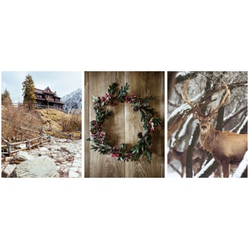 Plakāti guļamistabas sienai Ziemassvētku ziemas br