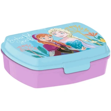 Disney Frozen Lunch box + aluminium bottle set 500
