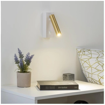 Brilagi - LED Sienas starmetis MAYA LED/3W/230V 40