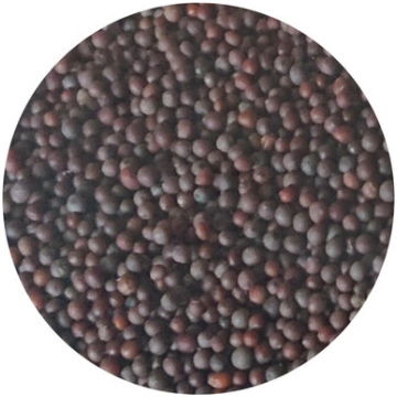 Brūnās Sinepju Sēklas TRS, 100 g