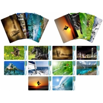 Esperanza EA133 mouse pad Multicolor EA133
