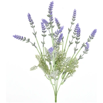 Bunch of lavender with 5 branches Casolaro Hotelle