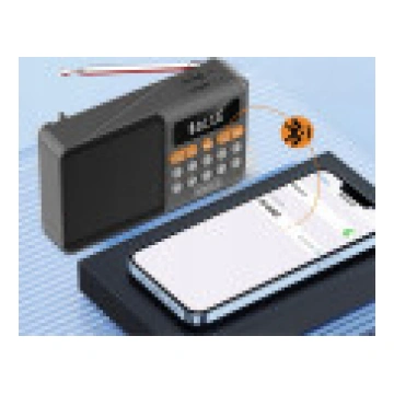 Zenwire Mini FM radio Bluetooth skaļrunis Pārnēsāj