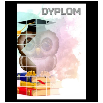 BS Papīra diploms - pūce (25 gab.) DYP157 (-) 1568