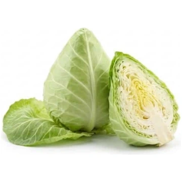 Cavolo Cappuccio Cuore Di Bue Bio