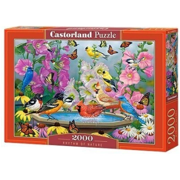 Puzle Castorland Rhythmn of nature 2000 detaļu