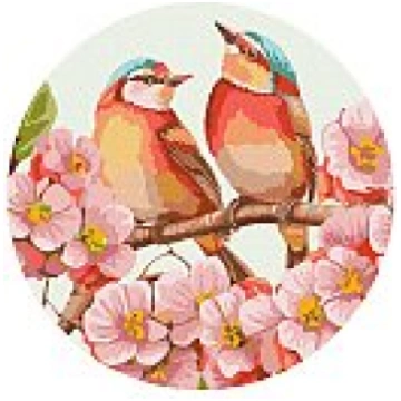 Komplekts gleznošanai pēc numuriem "Spring blossom