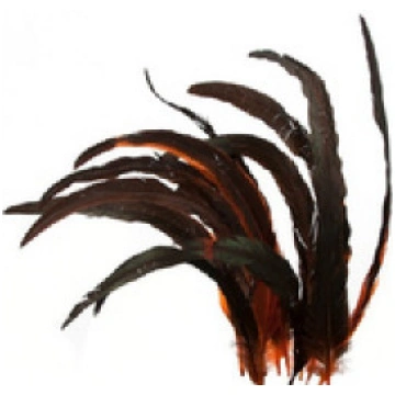 A.Jensen Cock Tails - Orange - Gaiļa spalvas