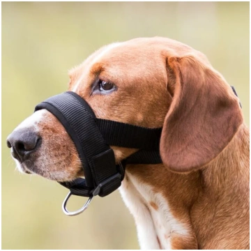 Uzpurnis suņiem - Trixie Muzzle Loop, Nylon, M- L,