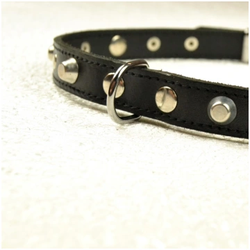 Kakla siksnas melnais (rock) Triera WN10454211