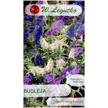 Dāvida budleja MIX 0.01 g W.Legutko