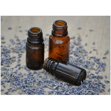 Plūme un rabarbers aromātiskā eļļa 10 ml AE10_56