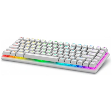 Alienware Pro Wireless Gaming Keyboard tastatūra U