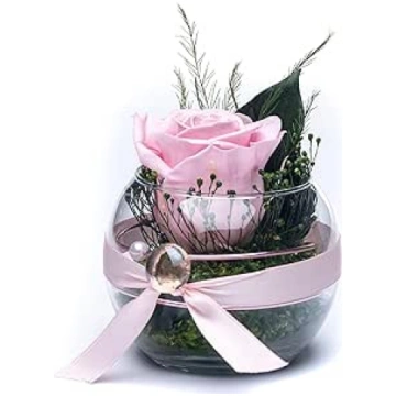 Rosen-Te-Amo Premium konservēta mūžīgā roze stikla