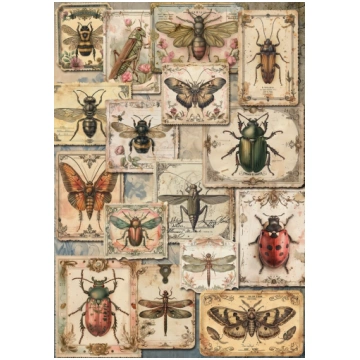 Iveta Ziedina - Insects Large 0860 DQ