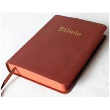 Bībele RT, brūna