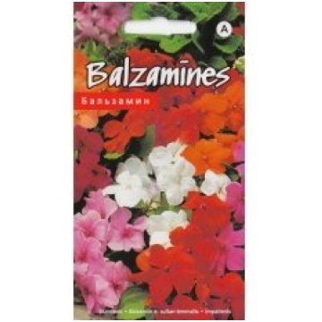 Kurzemes Sēklas Sēklas balzamīnes zemas F2 Colour 